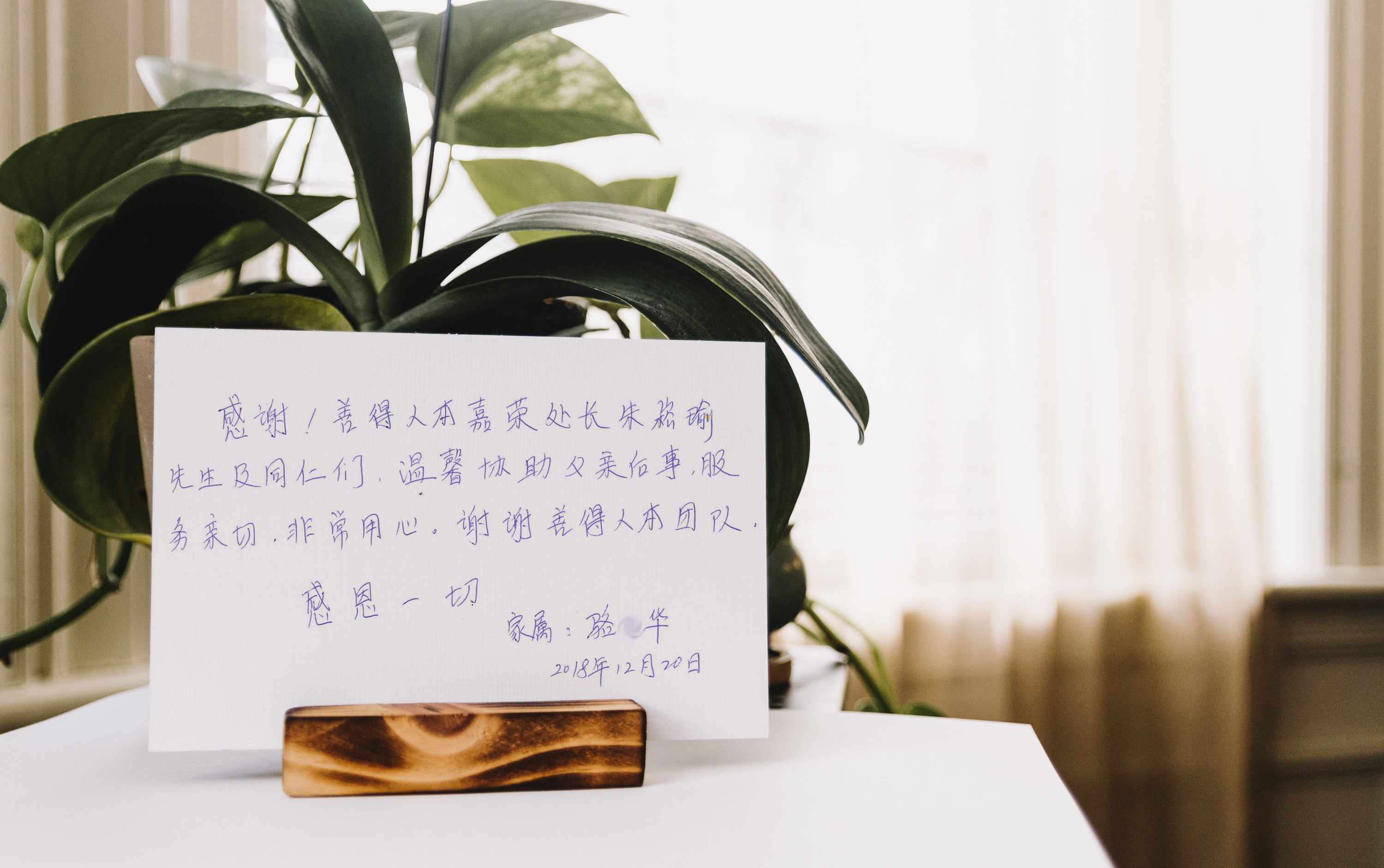 【公告】謝謝來自駱OO溫暖的留言